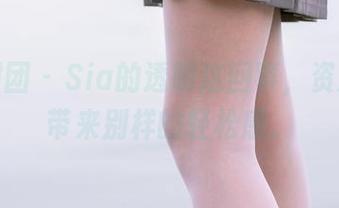 森萝财团 – Sia的透明这回事，资源给你带来别样的轻松感。