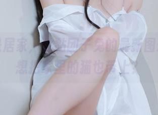 不仅是居家，黏黏团子兔的最新图册让你想把家里的猫也带上？